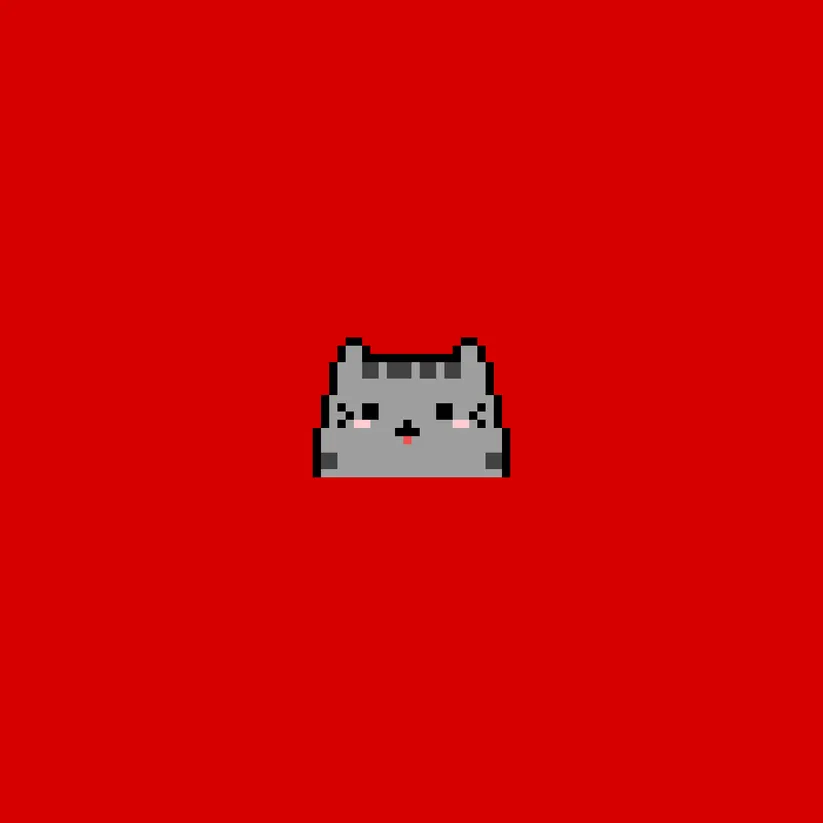 Boba the cat