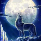 Moonlight-wolf