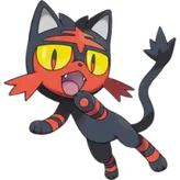 Litten-1234