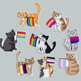 LGBTQCATLOVER