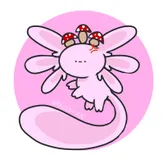 AxolotlMcflurry