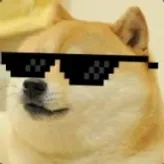 the420MlgDogePr