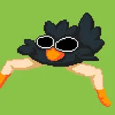 CrackBird
