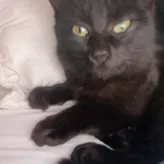Aleksandr3