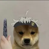 Elizoko