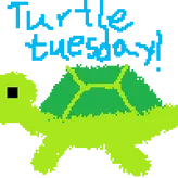 turtle-tuesday