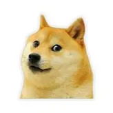 Doge5000