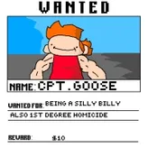 CaptainGoose7