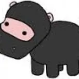 Hippo-Ninja