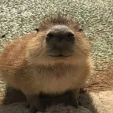 papreeka
