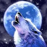 WolfXHaloX