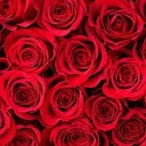 789789RoSeS