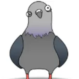 BombPigeon