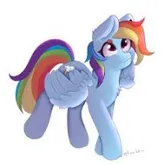 RainbowDash11