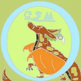 CSM