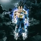 Vegeta-HA