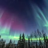 AlaskaArtist