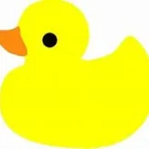 AP-Ducky