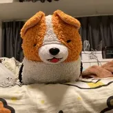 corgisarecutest