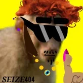 seize404