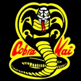 HawkCobraKai123