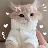 hwaeri