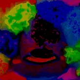 Clown-kiwi