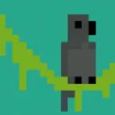 Pigeon-Pixels