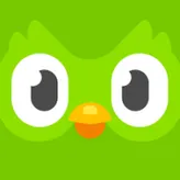 Duolingo-Owl