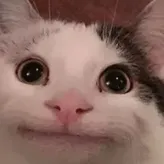 watermelonz