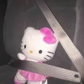 im2sad