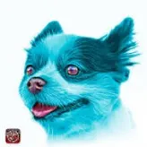 A-Cyan-Dog