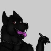 ShadowDuWolf