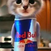 redbullLover222