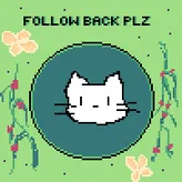 FollowBackPls
