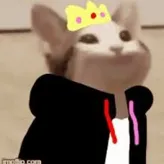 Maxybom