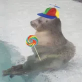 zxombieyexzs