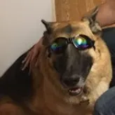 GSDGD