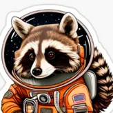 Space-Raccoon
