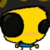 CurlyCarl1