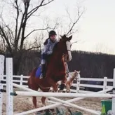 EquestrianCrazy
