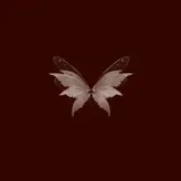 Unique-Stars