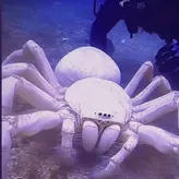 AquaMX