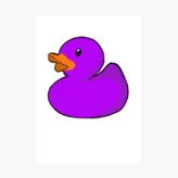 Purple-Duck