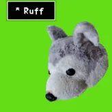 Ruff