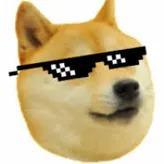 DaMemeKing