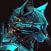 Cat-hacker