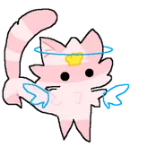 Axolotl-cat