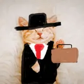 Business-cat