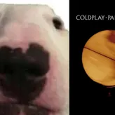 RadioPlayGAN3